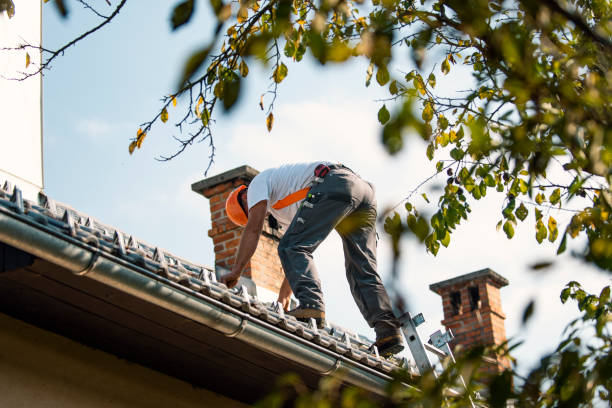 Best Chimney Flashing Repair  in Collinsville, MS