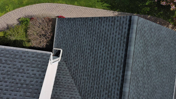 Best Skylight Installation and Repair  in Collinsville, MS