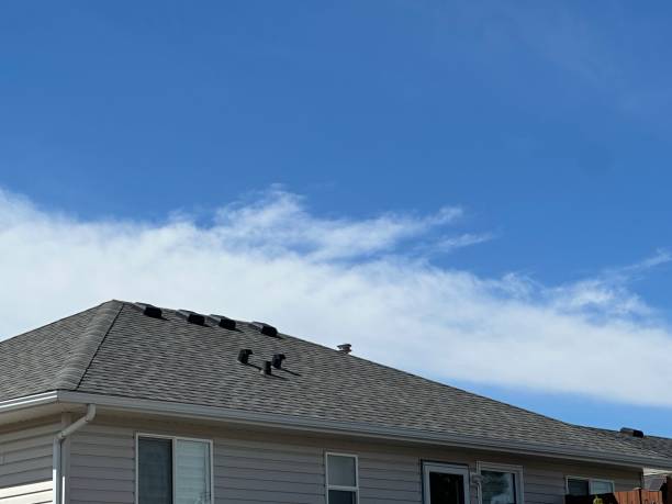 Best Cold Roofs  in Collinsville, MS