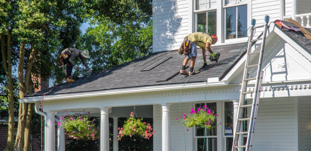Best Roof Insulation Installation  in Collinsville, MS